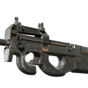 P90 | Elite Build (Well-Worn)