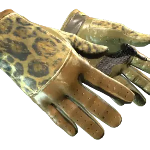★ Driver Gloves | Queen Jaguar (Well-Worn)