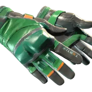 ★ Moto Gloves | Turtle (Field-Tested)