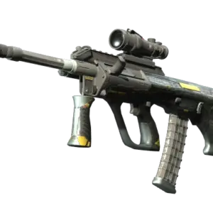 StatTrak™ AUG | Tom Cat (Well-Worn)