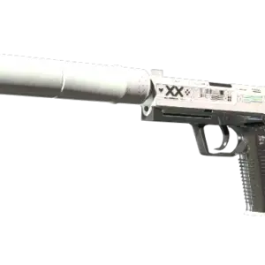 StatTrak™ USP-S | Printstream (Field-Tested)