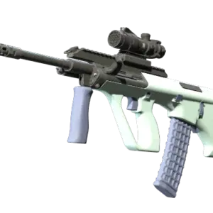 AUG | Storm (Factory New)