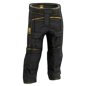 Black Gold Pants