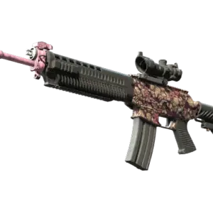 SG 553 | Desert Blossom (Field-Tested)