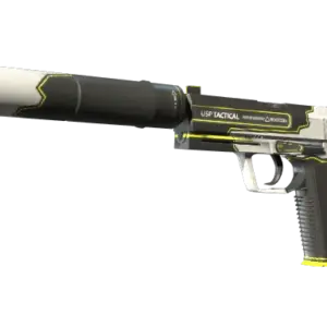 StatTrak™ USP-S | Torque (Minimal Wear)
