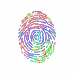 Sticker | Evidence (Holo)