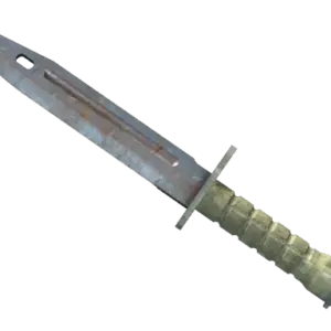 ★ Bayonet | Rust Coat (Well-Worn)