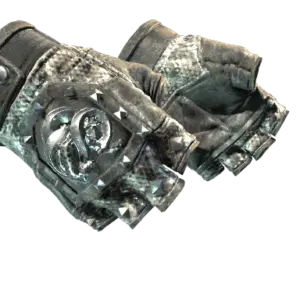★ Broken Fang Gloves | Unhinged (Well-Worn)