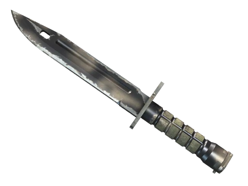 ★ StatTrak™ Bayonet | Scorched (Well-Worn)