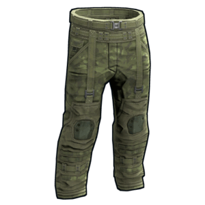 Forest Raiders Pants