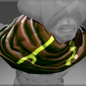 Auspicious Mantle of the Acolyte of Clasz