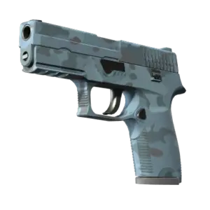 P250 | Forest Night (Minimal Wear)