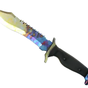 ★ Bowie Knife | Case Hardened (Factory New)