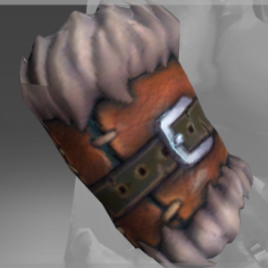 Arms of the Seasoned Expeditionary