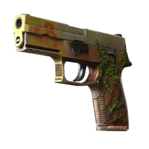 StatTrak™ P250 | Inferno (Well-Worn)