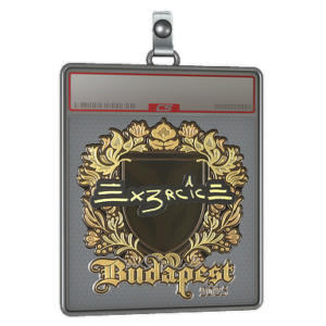 Sticker Slab | Ex3rcice (Gold) | Budapest 2025