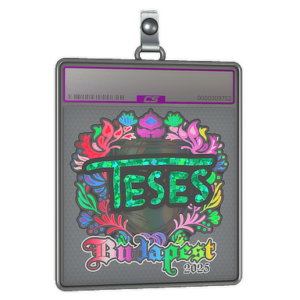 Sticker Slab | TeSeS (Holo) | Budapest 2025