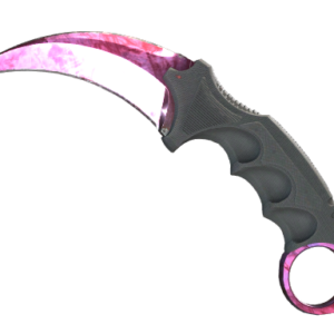 ★ StatTrak™ Karambit | Doppler Phase 2 (Minimal Wear)
