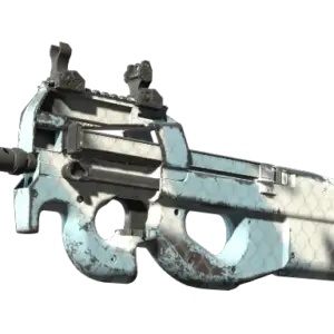 P90 | Glacier Mesh (Well-Worn)