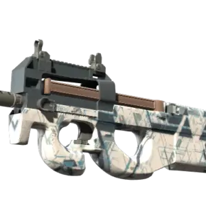 P90 | Schematic (Minimal Wear)