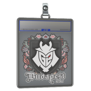Sticker Slab | G2 esports | Budapest 2025