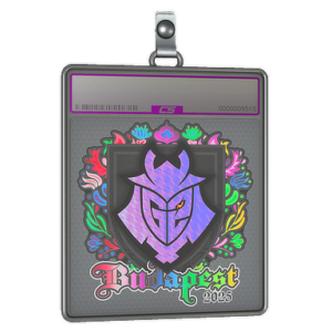 Sticker Slab | G2 esports (Holo) | Budapest 2025