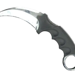 ★ StatTrak™ Karambit | Stained (Well-Worn)
