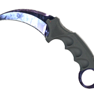 ★ Karambit | Doppler Black Pearl (Factory New)
