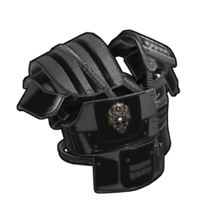 Black Diamond Roadsign Vest