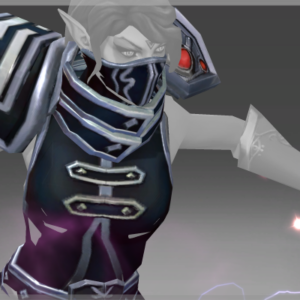 Exalted Pauldrons of the Timekeeper