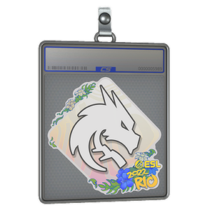 Sticker Slab | Team Spirit | Rio 2022