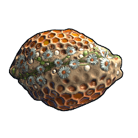 Honeycomb