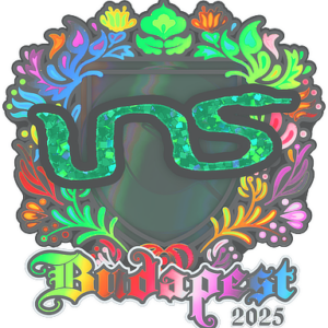 Sticker | INS (Holo) | Budapest 2025