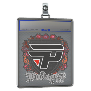 Sticker Slab | paiN Gaming | Budapest 2025