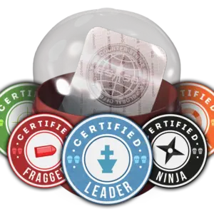 Team Roles Capsule