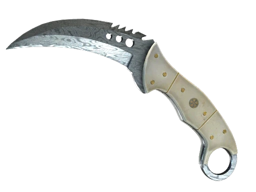 ★ StatTrak™ Talon Knife | Damascus Steel (Field-Tested)