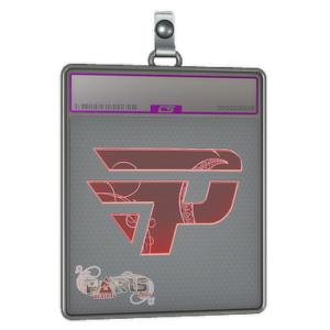 Sticker Slab | paiN Gaming (Holo) | Paris 2023
